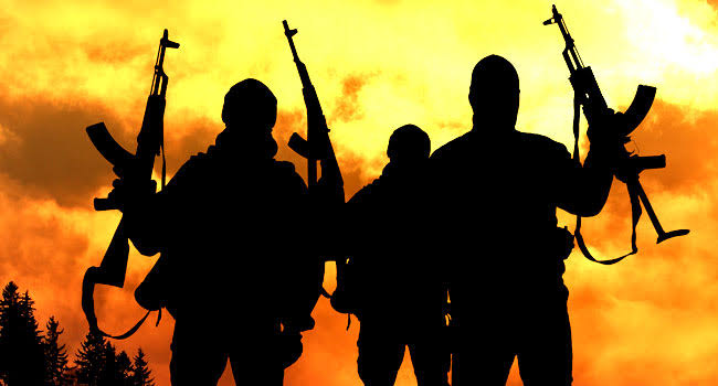 Terrorists kill one, abduct 14 in Borno community